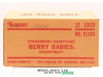 Berry Baby Assortment 12 Pack Strawberry Shortcake 1984 Kenner EMPTY BOX ONLY
