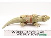 Dewback Complete W/ Box Star Wars 2012 Hasbro Action Figure