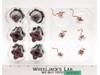 Aliens Eggs Set Aliens Hiya Toys Exquisite Mini NEW MIB