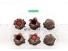 Aliens Eggs Set Aliens Hiya Toys Exquisite Mini NEW MIB