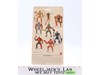 Zodac Masters of the Universe MOTU Commemorative Series 2001 Mattel NEW SEALED