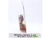 Roboto He-Man 200X Masters Of The Universe MOTU 2003 Mattel NEW SEALED