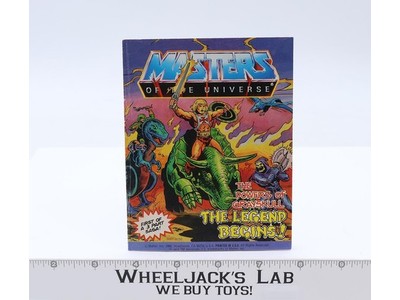 The Powers of Grayskull The Legend Begins Comic He-Man Masters of the Universe