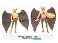 Hawkman & Hawkgirl DC Direct Action Figures