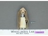 Squid Head 100% Complete Star Wars ROTJ 1983 Vintage Kenner Figure NO REPRO
