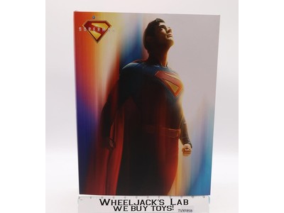 MMS812 Superman and Krypto DC Comics Hot Toys 1:6 Scale Figure