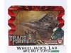 Starscream Transformers Revenge of the Fallen 2008 Hasbro Action Figure W/ Box