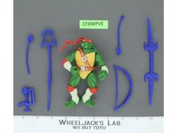Raphael The Next Mutations Teenage Mutant Ninja Turtles 1997 100% Complete