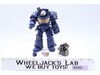 Ultramarines Terminator With Storm Boltor Terminator Squad Warhammer 40K JOYTOY
