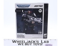 Iron Hands Intercessors Brother Ignar Warhammer 40K 2024 JOYTOY Figure NEW MIB