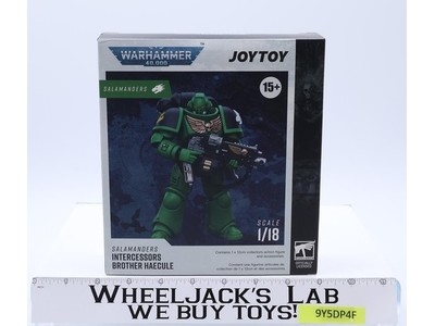 Salamanders Intercessors Brother Haecule Warhammer 40K 2025 JOYTOY NEW MIB