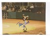 Tamara Ivie Colorado Silver Bullets AUTOGRAPHED 6x8 Photograph