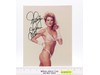 Ginger Lynn Allen Model Actress AUTOGRAPHED 8x10 Photograph