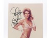 Ginger Lynn Allen Model Actress AUTOGRAPHED 8x10 Photograph