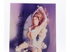 Ginger Lynn Allen Model Actress AUTOGRAPHED 8x10 Photograph