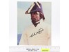 Worf Star Trek Michael Dorn AUTOGRAPHED 8x10 Photograph