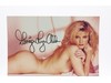 Ginger Lynn Allen Model Actress AUTOGRAPHED 8x10 Photograph