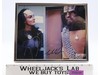 K'Ehleyr / Lt. Worf Star Trek Next Gen Plakson/Dorn AUTOGRAPHED Framed Picture