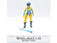 Evil Lyn 100% Complete 1983 MOTU Masters of the Universe He-Man Action Figure