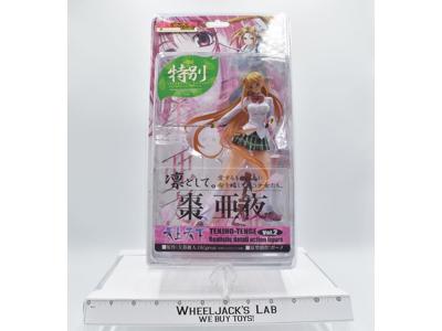 Tenjho-Tenge Vol. 2 Tenjho Tenge Figure Japan Tokubetsu Edition Kaiyodo Anime
