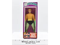 Aquaman 8" NEW IN BOX World's Greatest Super Heroes Mego 1973 Action Figure