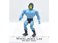 Dragon Blaster Skeletor MOTU Mattel Masters of the Universe He-Man Action Figure