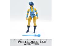 Evil Lyn 100% Complete 1983 MOTU Masters of the Universe He-Man Action Figure