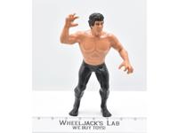 Ricky "The Dragon" Steamboat #6 1986 WWF LJN Titan Sports 8" Wrestling Vintage