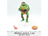 Mutatin' Raphael 1992 TMNT Teenage Mutant Ninja Turtle Playmates Action Figure