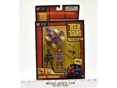 Starfire &amp; Thunderbull MOSC NEW Teen Titans 2003 Bandai DC Super Heroes Figure