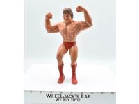 Paul "Mr. Wonderful" Orndorff #3 WWF LJN Titan Sports 8" Wrestling Action Figure