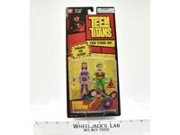 Robin &amp; Starfire MOSC NEW Teen Titans 2005 Bandai DC Super Heroes Action Figure