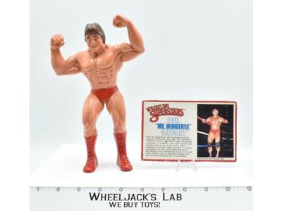 Paul "Mr. Wonderful" Orndorff WWF LJN Titan Sports 8" Wrestling Action Figure