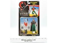 Dick Grayson/ Robin MOSC NEW Batman The Animated Series Kenner 1993 Figure