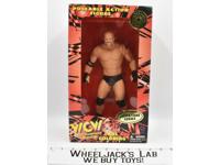 Bill Goldberg 12" WCW 1998 The Original Playmakers Wrestling Figure