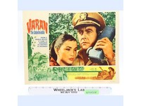 Varan the Unbelievable 1962 Sci-fi/Horror Movie Lobby Card Poster 11x14