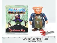 Gwildor 100% Complete 1987 MOTU Masters of the Universe He-Man W/ Comic