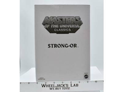 Strong-Or MOSC w/ Mailer He-Man Masters of the Universe 2013 MOTUC Mattel Figure