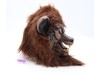 Werewolf Adult Full Head Deluxe Latex Mask Trick or Treat Studios