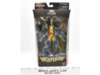 Laura Kinney Wolverine Marvel Legends Series NEW MISB 2017 Hasbro Action Figure
