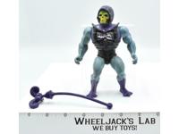 Skeletor Battle Damage He-man MOTU Mattel Masters of the Universe Action Figure