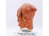Admiral Ackbar Mask Star Wars Return of the Jedi 1983 Don Post Studios Vintage