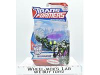 Waspinator Deluxe Animated 2008 MISB MOSC Hasbro Transformers