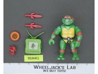 Toon Raph 100% Complete Teenage Mutant Ninja Turtle TMNT 1993 Playmates Figure
