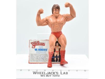 Paul "Mr. Wonderful" Orndorff #6 WWF LJN Titan Sports 8" Wrestling Action Figure