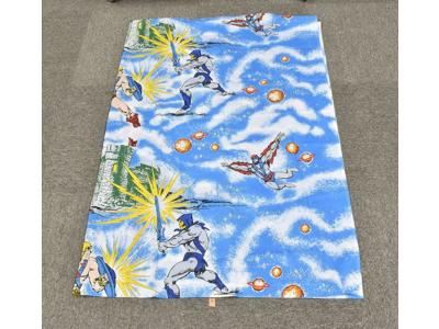 He-Man Skeletor Yard of Fabric #2 MOTU 1983 Mattel Masters of the Universe