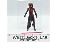 Darth Talon Star Wars Legacy Collection 2008 Hasbro Action Figure