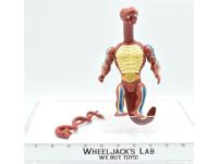 Rattlor Red Neck 100% Complete 1985 He-Man MOTU Mattel Masters of the Universe
