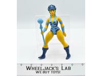Evil Lyn 100% Complete He-Man Masters Of The Universe 1983 Mattel Figure
