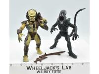 Warrior Alien vs. Renegade Predator Alien vs. Predator 1993 Kenner Action Figure